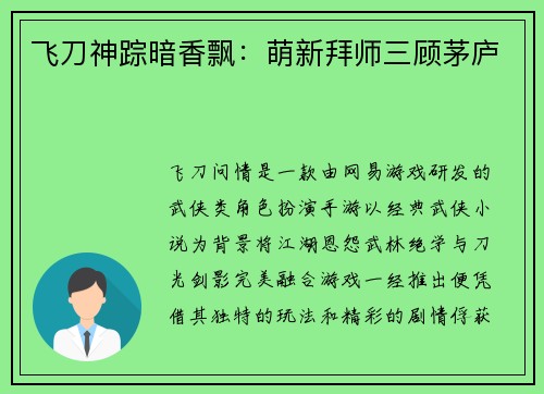 飞刀神踪暗香飘：萌新拜师三顾茅庐