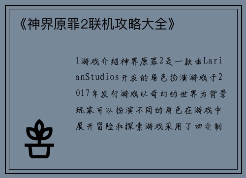 《神界原罪2联机攻略大全》